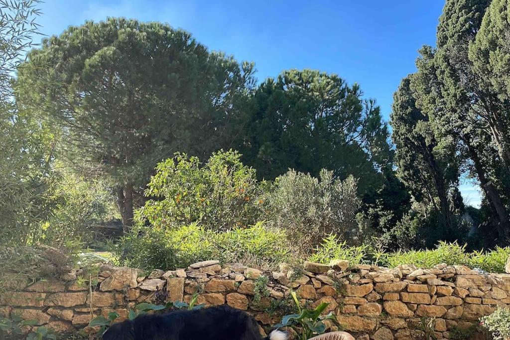 Gite Mas Provencal 타라스콩 외부 사진