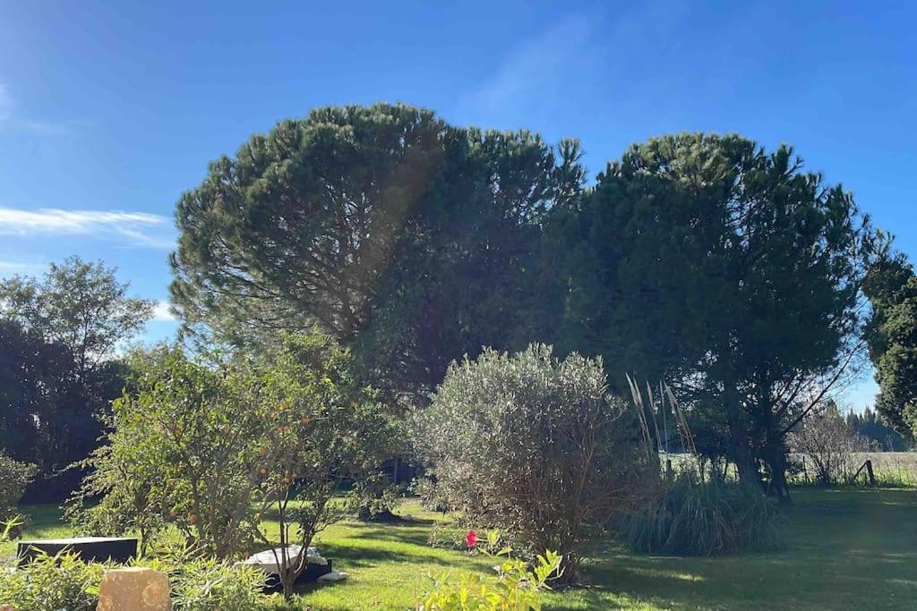 Gite Mas Provencal 타라스콩 외부 사진